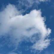 ヒメ日記 2025/03/19 17:24 投稿 斉藤恵 セレブショップ新宿（東京ハレ系）