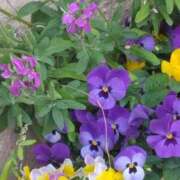 ヒメ日記 2025/03/21 02:14 投稿 斉藤恵 セレブショップ新宿（東京ハレ系）