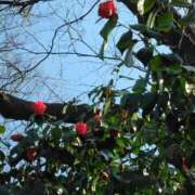 ヒメ日記 2025/03/22 21:45 投稿 斉藤恵 セレブショップ新宿（東京ハレ系）