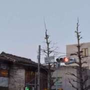 ヒメ日記 2025/03/24 18:32 投稿 斉藤恵 セレブショップ新宿（東京ハレ系）