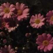 ヒメ日記 2025/03/26 21:08 投稿 斉藤恵 セレブショップ新宿（東京ハレ系）