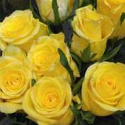 ヒメ日記 2025/03/27 04:12 投稿 斉藤恵 セレブショップ新宿（東京ハレ系）