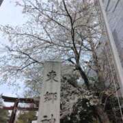 ヒメ日記 2025/03/30 17:24 投稿 斉藤恵 セレブショップ新宿（東京ハレ系）