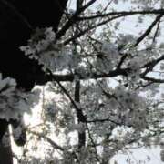 ヒメ日記 2025/04/01 19:30 投稿 斉藤恵 セレブショップ新宿（東京ハレ系）