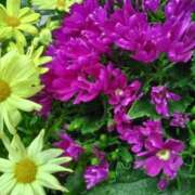 ヒメ日記 2025/04/01 22:45 投稿 斉藤恵 セレブショップ新宿（東京ハレ系）