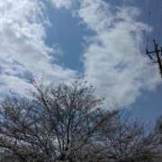 ヒメ日記 2025/04/05 17:18 投稿 斉藤恵 セレブショップ新宿（東京ハレ系）