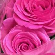 ヒメ日記 2025/04/06 07:15 投稿 斉藤恵 セレブショップ新宿（東京ハレ系）