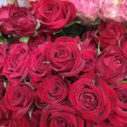 ヒメ日記 2025/04/06 22:49 投稿 斉藤恵 セレブショップ新宿（東京ハレ系）