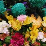 ヒメ日記 2025/04/07 10:34 投稿 斉藤恵 セレブショップ新宿（東京ハレ系）