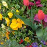 ヒメ日記 2025/04/08 10:44 投稿 斉藤恵 セレブショップ新宿（東京ハレ系）