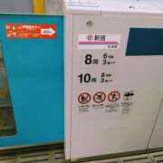 ヒメ日記 2025/04/08 14:51 投稿 斉藤恵 セレブショップ新宿（東京ハレ系）