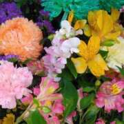 ヒメ日記 2025/04/11 02:45 投稿 斉藤恵 セレブショップ新宿（東京ハレ系）