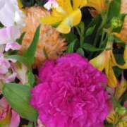 ヒメ日記 2025/04/14 11:36 投稿 斉藤恵 セレブショップ新宿（東京ハレ系）