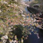 ヒメ日記 2025/04/14 19:45 投稿 斉藤恵 セレブショップ新宿（東京ハレ系）