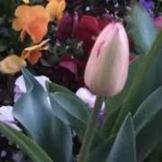 ヒメ日記 2025/04/16 21:02 投稿 斉藤恵 セレブショップ新宿（東京ハレ系）