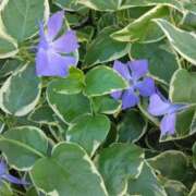 ヒメ日記 2025/04/18 23:23 投稿 斉藤恵 セレブショップ新宿（東京ハレ系）