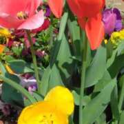 ヒメ日記 2025/04/21 07:22 投稿 斉藤恵 セレブショップ新宿（東京ハレ系）