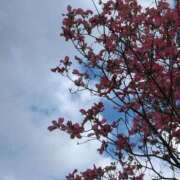 ヒメ日記 2025/04/21 19:15 投稿 斉藤恵 セレブショップ新宿（東京ハレ系）