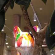 ヒメ日記 2025/04/22 19:18 投稿 斉藤恵 セレブショップ新宿（東京ハレ系）