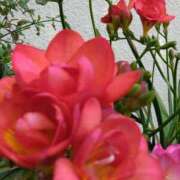 ヒメ日記 2025/04/23 07:15 投稿 斉藤恵 セレブショップ新宿（東京ハレ系）