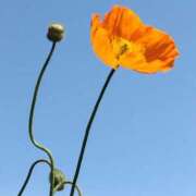 ヒメ日記 2025/04/27 07:15 投稿 斉藤恵 セレブショップ新宿（東京ハレ系）