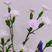 ヒメ日記 2025/04/27 20:15 投稿 斉藤恵 セレブショップ新宿（東京ハレ系）