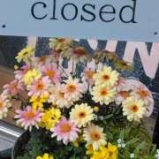 ヒメ日記 2025/04/30 05:55 投稿 斉藤恵 セレブショップ新宿（東京ハレ系）