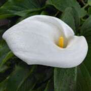 ヒメ日記 2025/05/02 17:32 投稿 斉藤恵 セレブショップ新宿（東京ハレ系）