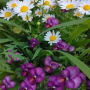 ヒメ日記 2025/05/06 11:31 投稿 斉藤恵 セレブショップ新宿（東京ハレ系）