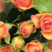 ヒメ日記 2025/05/07 07:15 投稿 斉藤恵 セレブショップ新宿（東京ハレ系）