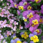 ヒメ日記 2025/05/07 18:03 投稿 斉藤恵 セレブショップ新宿（東京ハレ系）