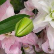 ヒメ日記 2025/05/07 19:02 投稿 斉藤恵 セレブショップ新宿（東京ハレ系）