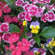 ヒメ日記 2025/05/07 20:30 投稿 斉藤恵 セレブショップ新宿（東京ハレ系）