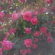 ヒメ日記 2025/05/08 20:32 投稿 斉藤恵 セレブショップ新宿（東京ハレ系）