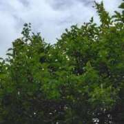 ヒメ日記 2025/05/09 17:31 投稿 斉藤恵 セレブショップ新宿（東京ハレ系）