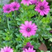 ヒメ日記 2025/05/10 10:15 投稿 斉藤恵 セレブショップ新宿（東京ハレ系）