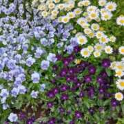 ヒメ日記 2025/05/14 17:30 投稿 斉藤恵 セレブショップ新宿（東京ハレ系）