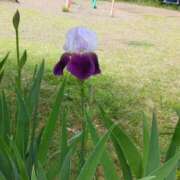 ヒメ日記 2025/05/15 11:02 投稿 斉藤恵 セレブショップ新宿（東京ハレ系）