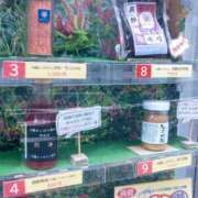 ヒメ日記 2025/05/15 14:01 投稿 斉藤恵 セレブショップ新宿（東京ハレ系）