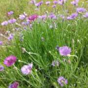 ヒメ日記 2025/05/15 17:30 投稿 斉藤恵 セレブショップ新宿（東京ハレ系）