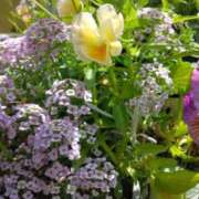 ヒメ日記 2025/05/15 23:46 投稿 斉藤恵 セレブショップ新宿（東京ハレ系）