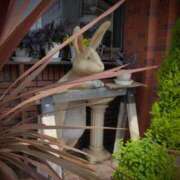 ヒメ日記 2025/05/16 17:45 投稿 斉藤恵 セレブショップ新宿（東京ハレ系）