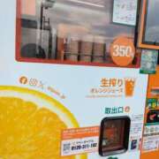 ヒメ日記 2025/05/17 06:12 投稿 斉藤恵 セレブショップ新宿（東京ハレ系）