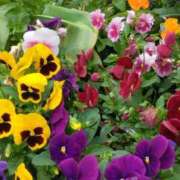 ヒメ日記 2025/05/18 22:08 投稿 斉藤恵 セレブショップ新宿（東京ハレ系）