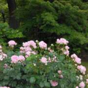 ヒメ日記 2025/05/19 20:26 投稿 斉藤恵 セレブショップ新宿（東京ハレ系）