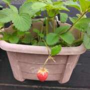 ヒメ日記 2025/05/20 11:15 投稿 斉藤恵 セレブショップ新宿（東京ハレ系）