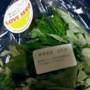 ヒメ日記 2025/05/22 20:22 投稿 斉藤恵 セレブショップ新宿（東京ハレ系）