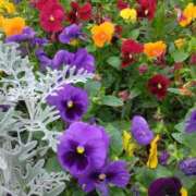 ヒメ日記 2025/05/26 00:45 投稿 斉藤恵 セレブショップ新宿（東京ハレ系）