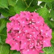 ヒメ日記 2025/05/29 17:52 投稿 斉藤恵 セレブショップ新宿（東京ハレ系）