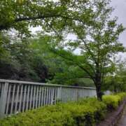 ヒメ日記 2025/06/02 13:15 投稿 斉藤恵 セレブショップ新宿（東京ハレ系）